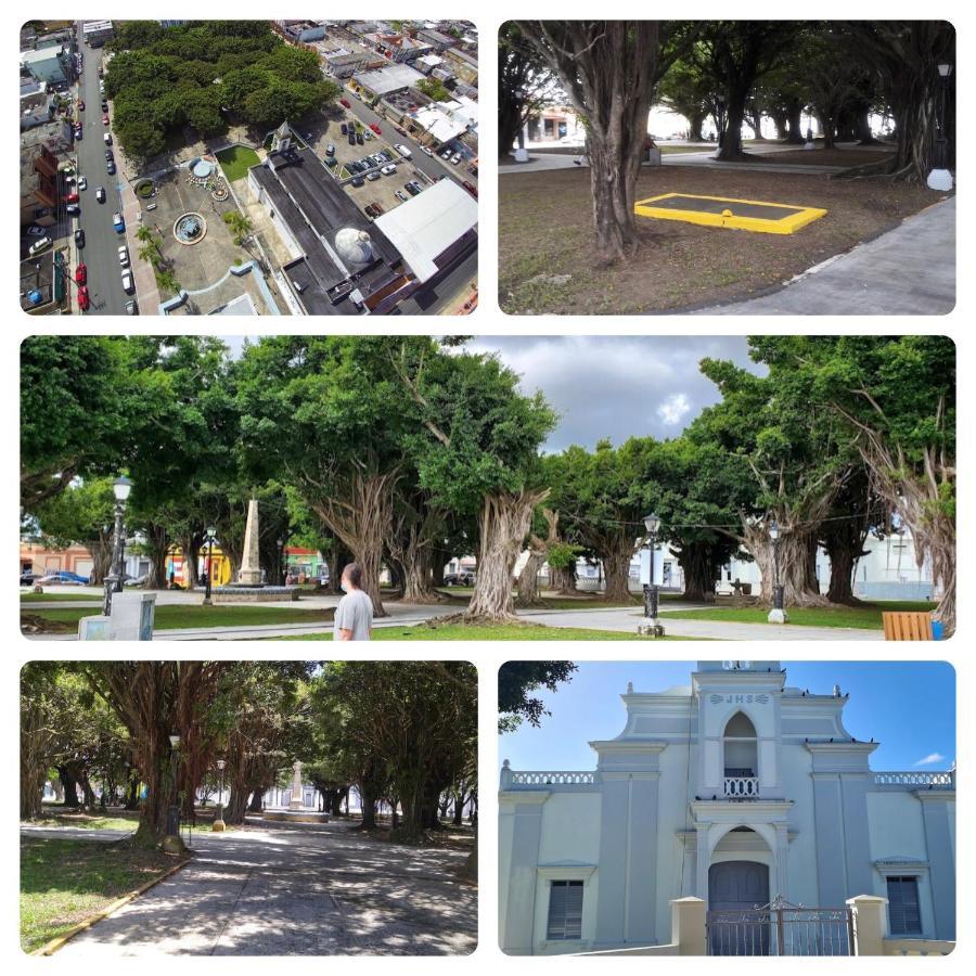 Lacasitadelmalecon Naguabo Екстер'єр фото